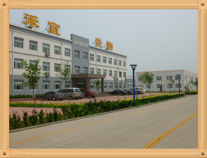 China Weifang Heyi Agrochemical Co.,Ltd Perfil da companhia
